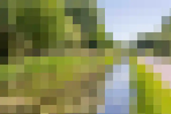 Hoevenbos 95 Zoetermeer thumbnail 35