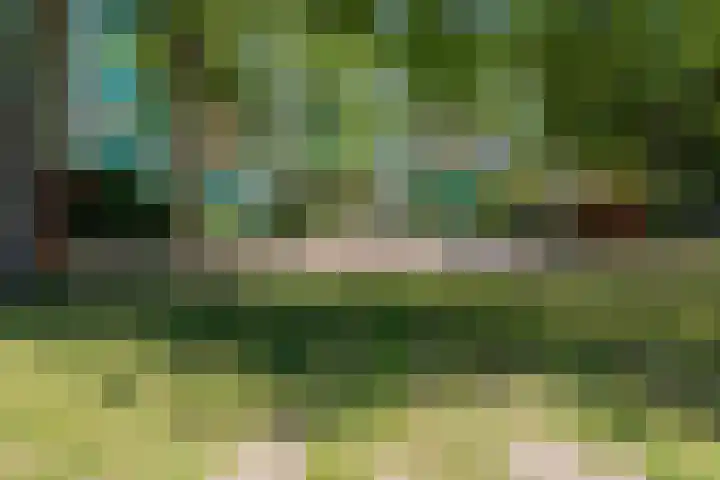 Hoevenbos 95 Zoetermeer thumbnail 36
