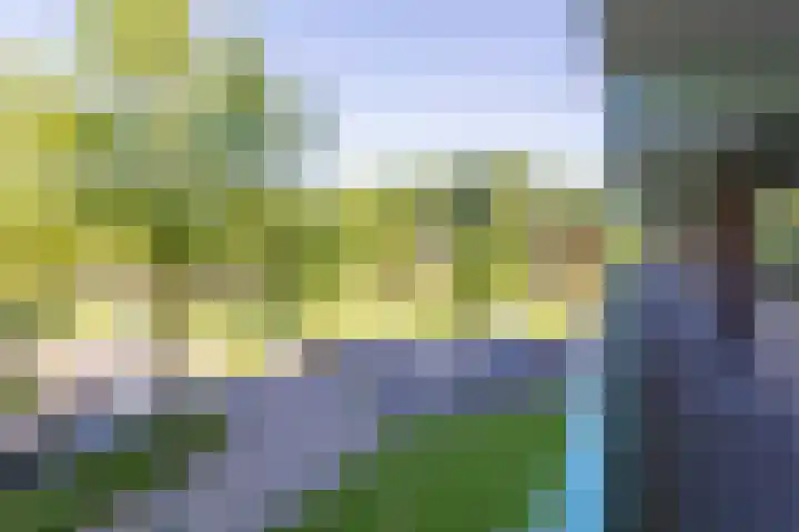 Hoevenbos 95 Zoetermeer thumbnail 5
