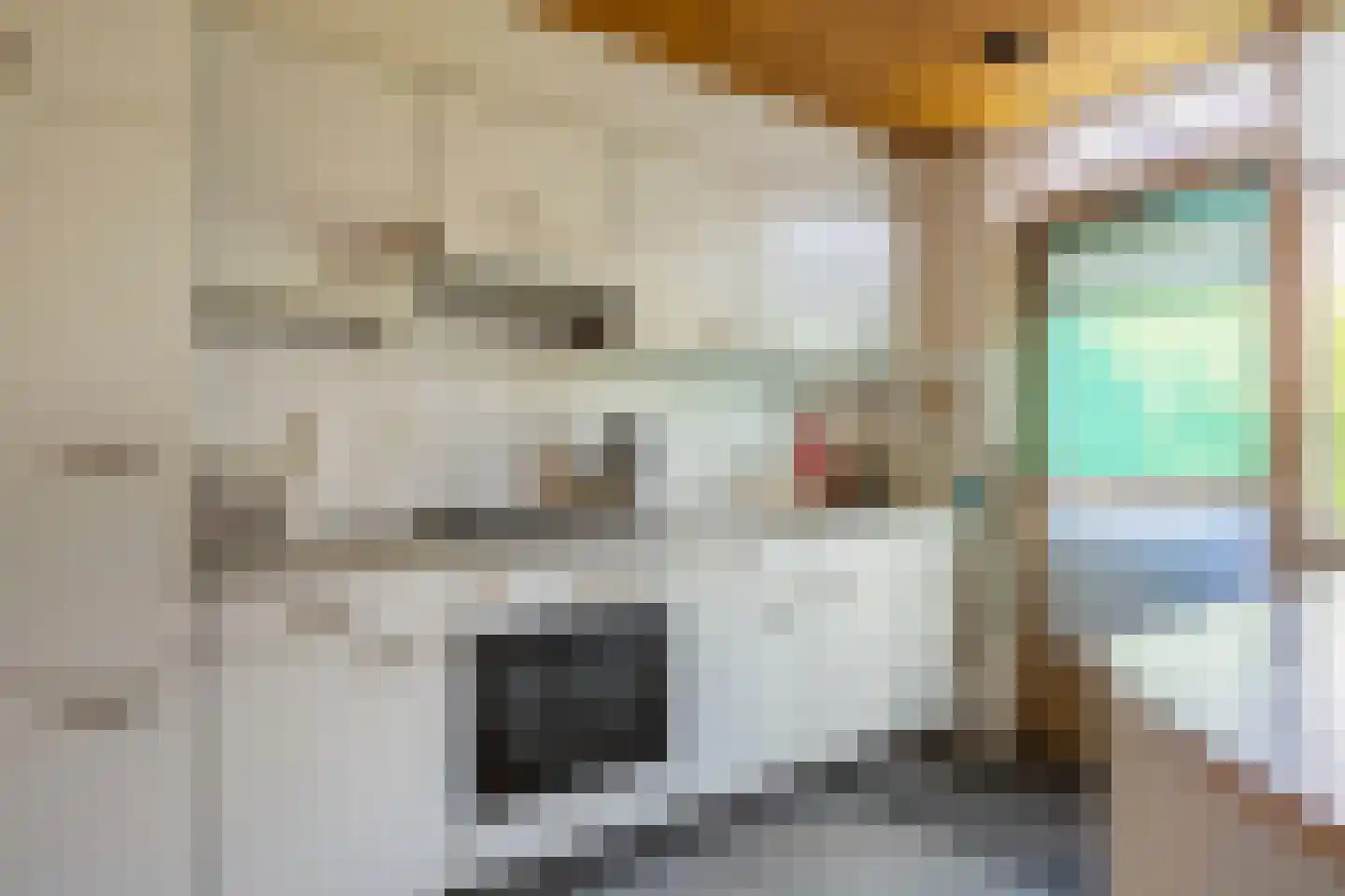 Hoevenhoek 16 Wijhe thumbnail 10
