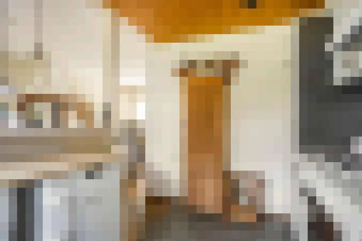 Hoevenhoek 16 Wijhe thumbnail 12
