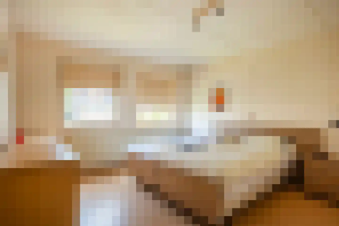 Hoevenhoek 16 Wijhe thumbnail 15