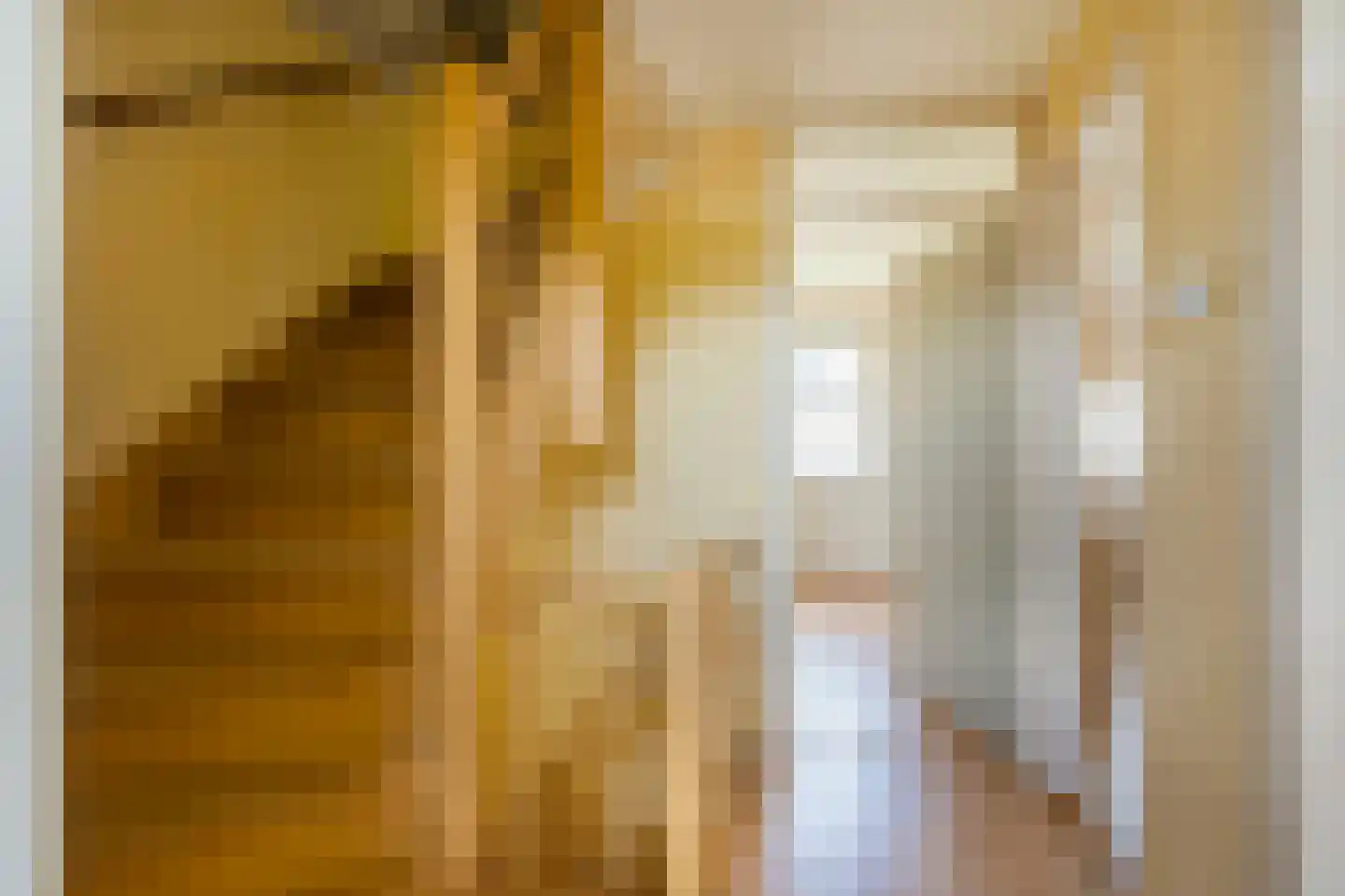 Hoevenhoek 16 Wijhe thumbnail 21