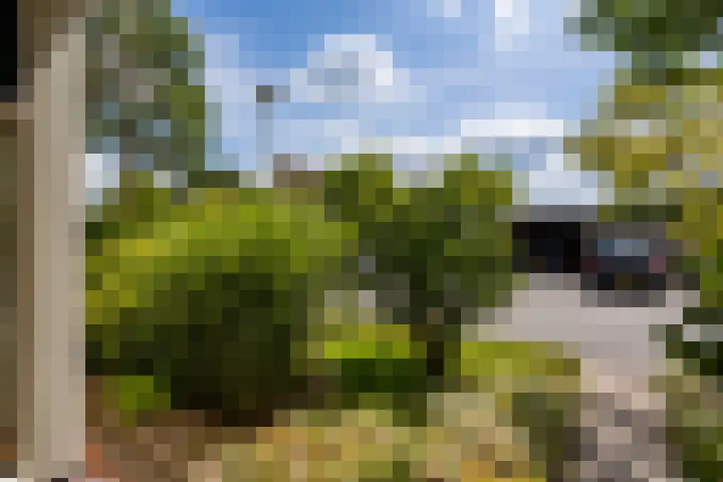 Hoevenhoek 16 Wijhe thumbnail 27