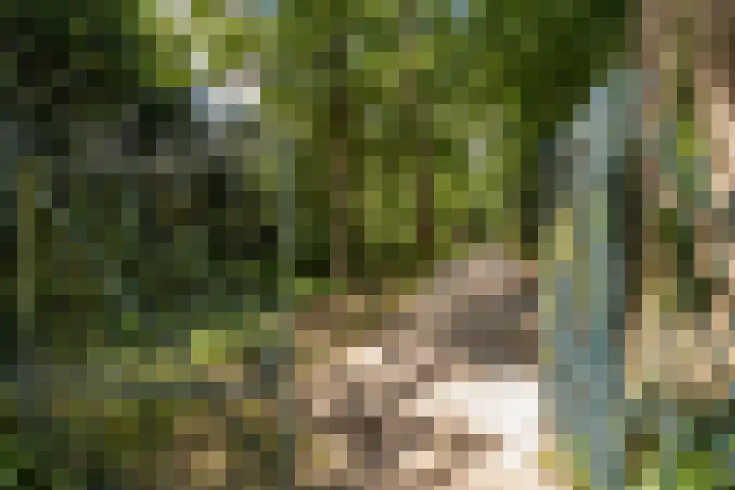 Hoevenhoek 16 Wijhe thumbnail 31