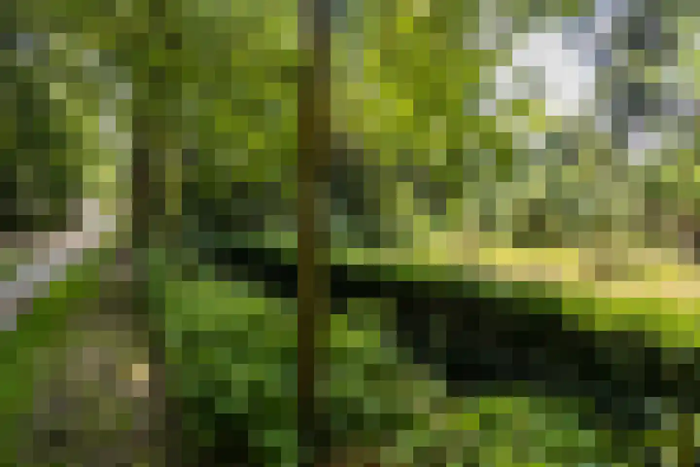 Hoevenhoek 16 Wijhe thumbnail 32