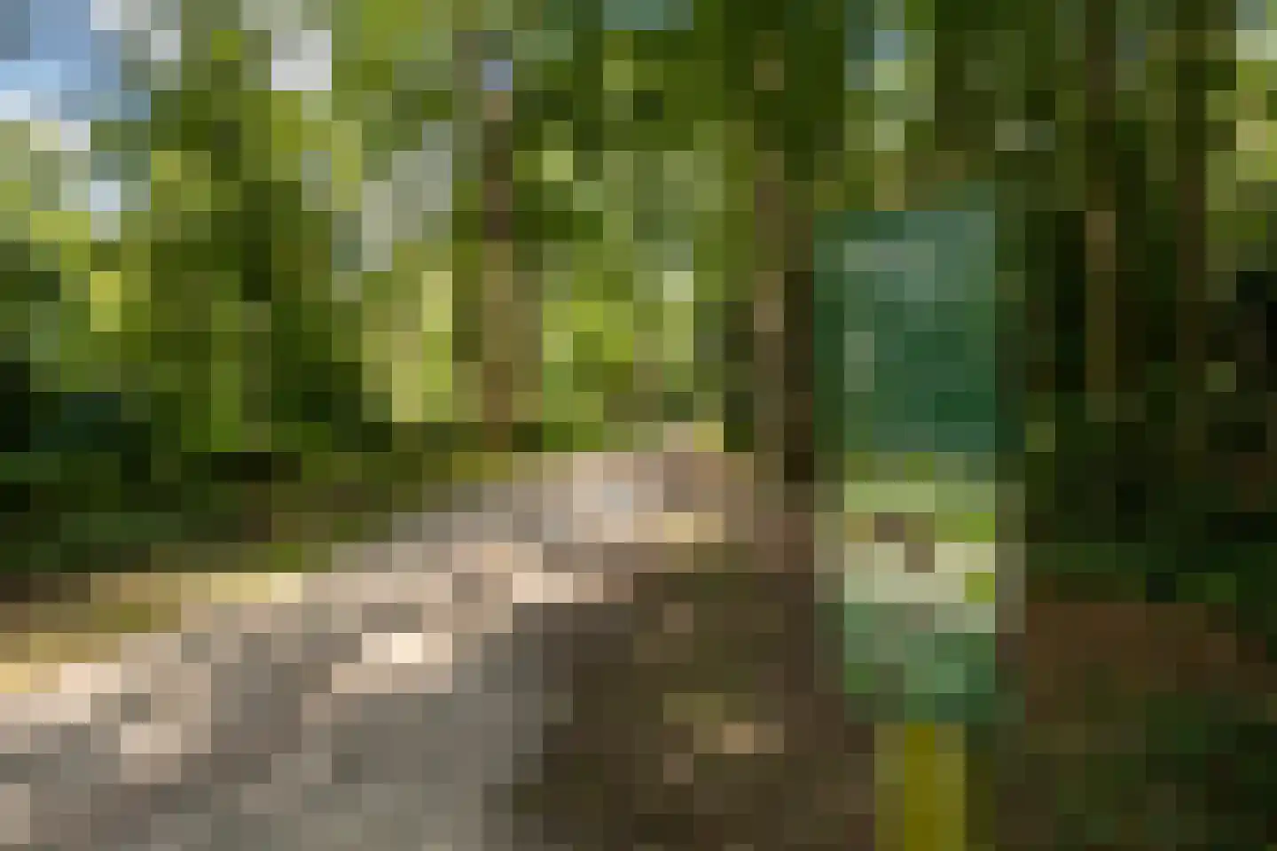 Hoevenhoek 16 Wijhe thumbnail 33