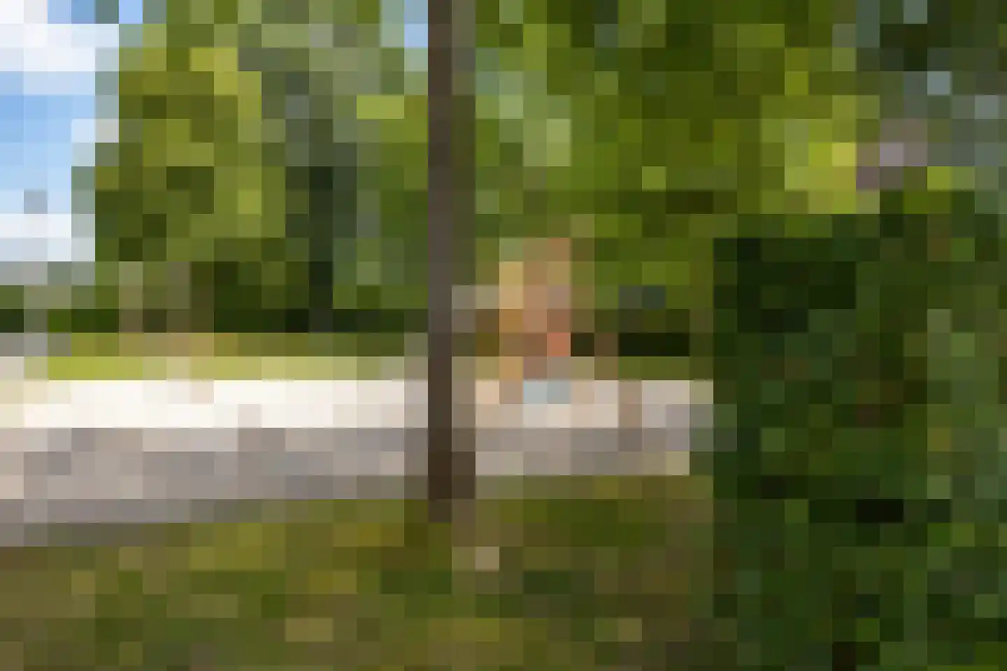 Hoevenhoek 16 Wijhe thumbnail 34