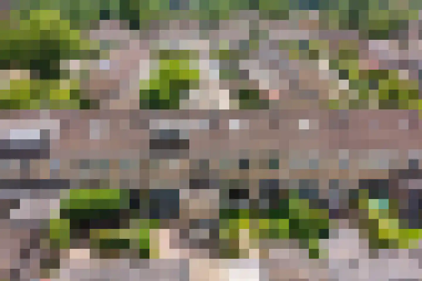 Hoevenhoek 16 Wijhe thumbnail 37