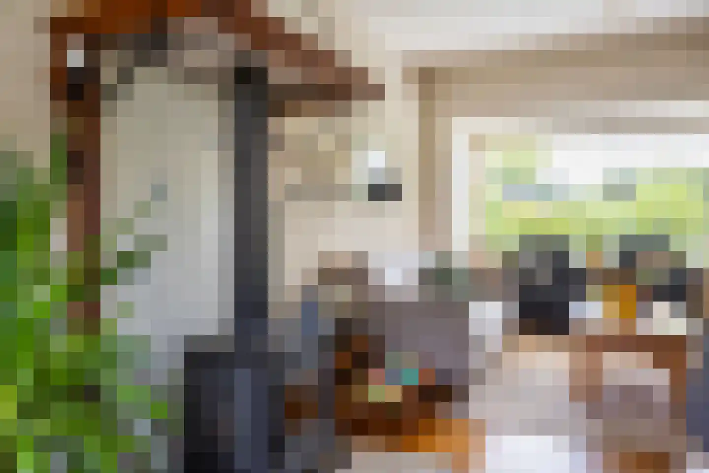 Hoevenhoek 16 Wijhe thumbnail 4