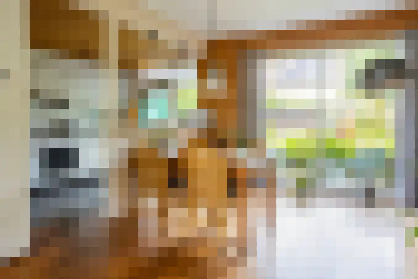 Hoevenhoek 16 Wijhe thumbnail 8