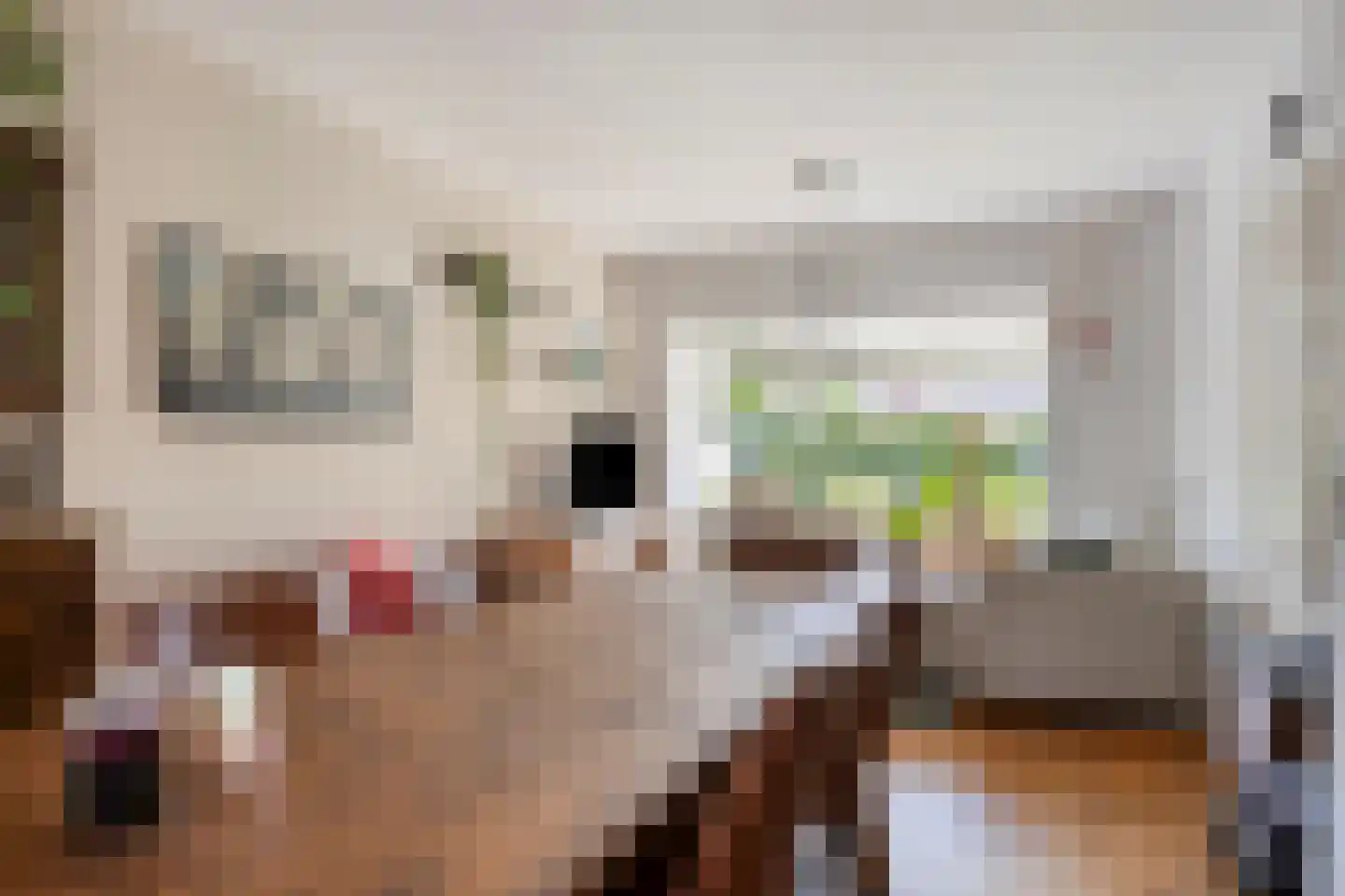 Hoevenhoek 22 Wijhe thumbnail 13