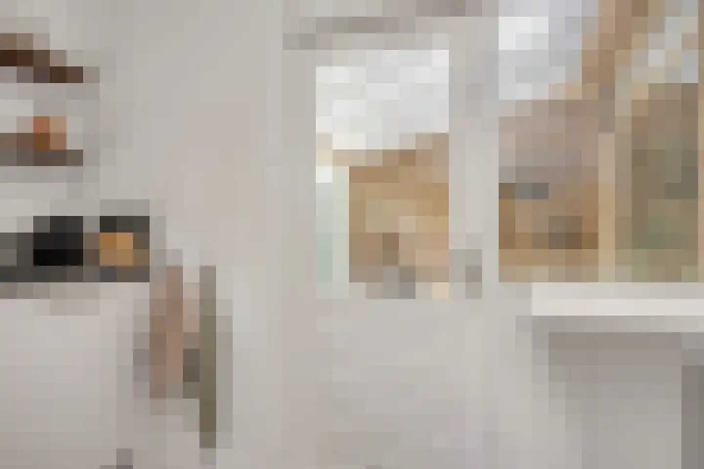 Hoevenhoek 22 Wijhe thumbnail 18