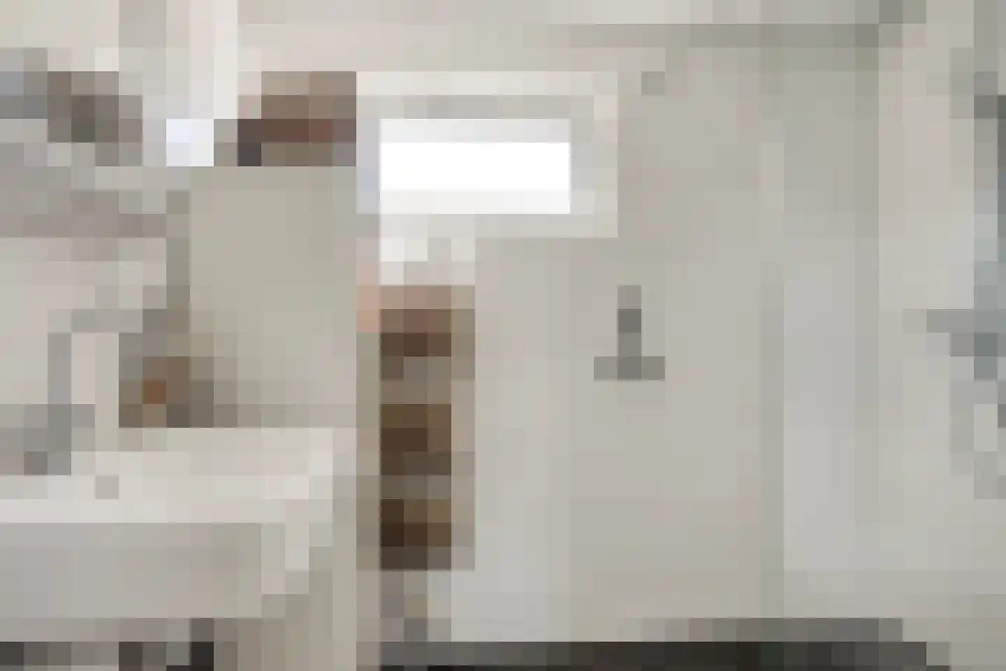 Hoevenhoek 22 Wijhe thumbnail 23