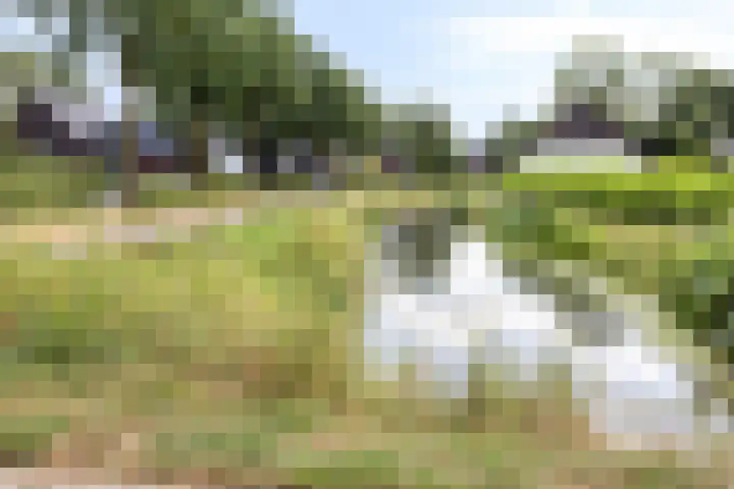 Hoevenhoek 22 Wijhe thumbnail 36
