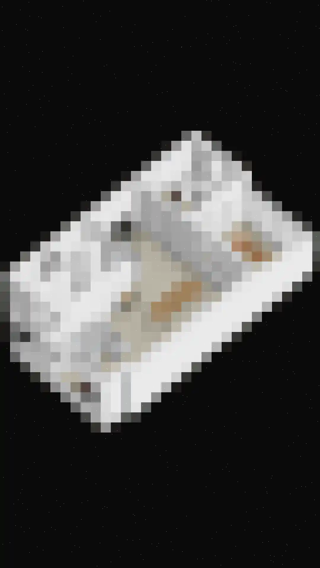 Hoevenhoek 22 Wijhe thumbnail 38