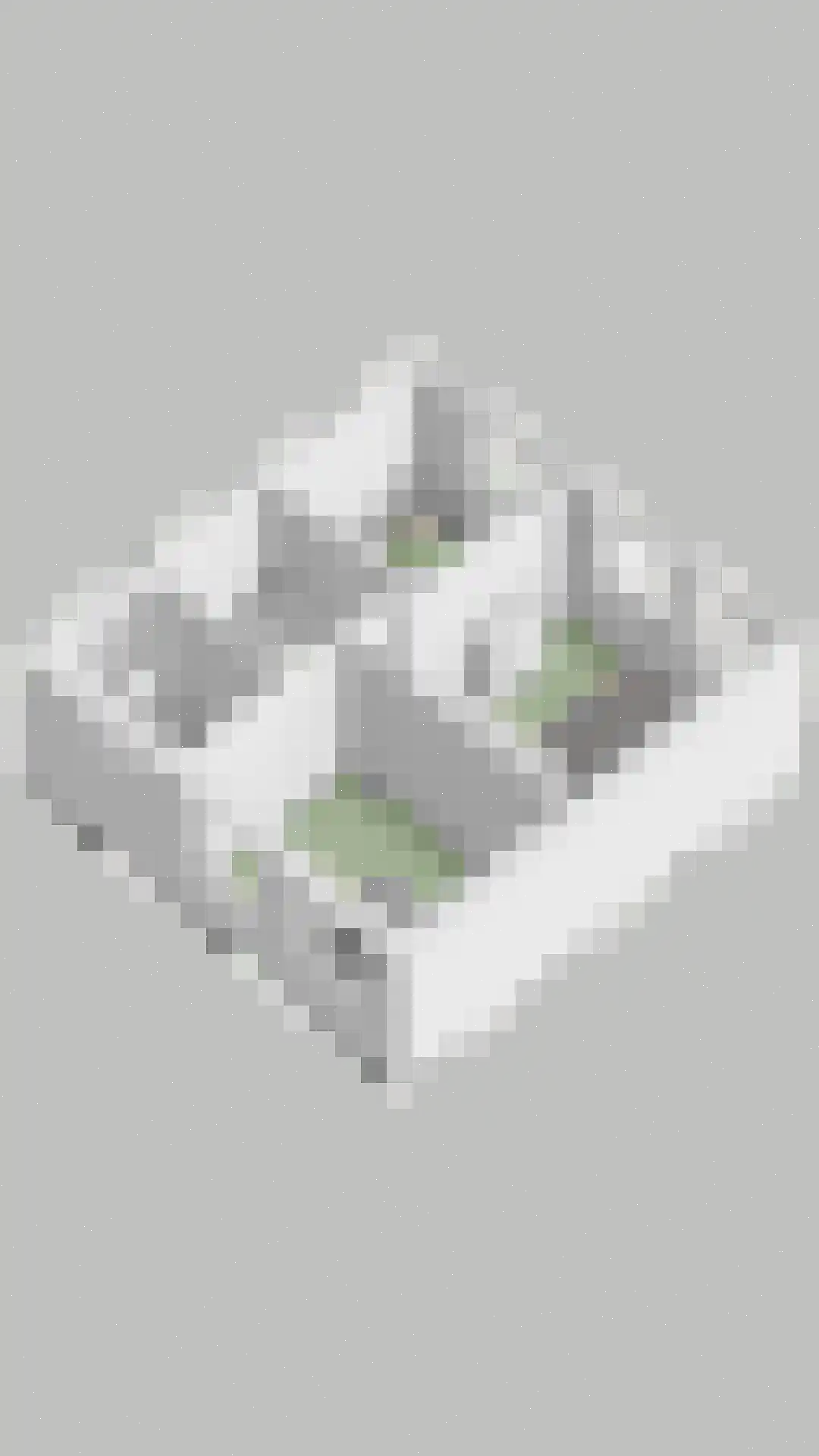 Hoevenhoek 22 Wijhe thumbnail 40