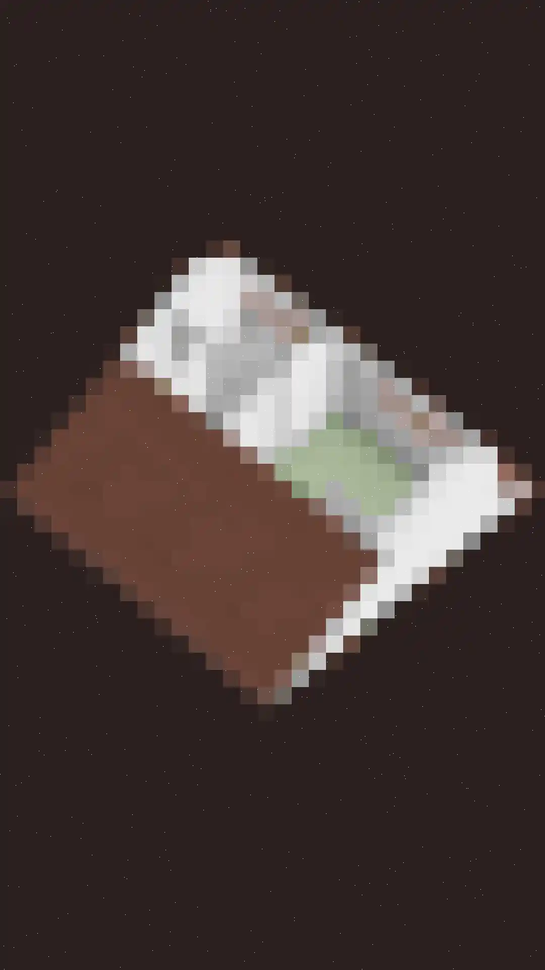 Hoevenhoek 22 Wijhe thumbnail 42