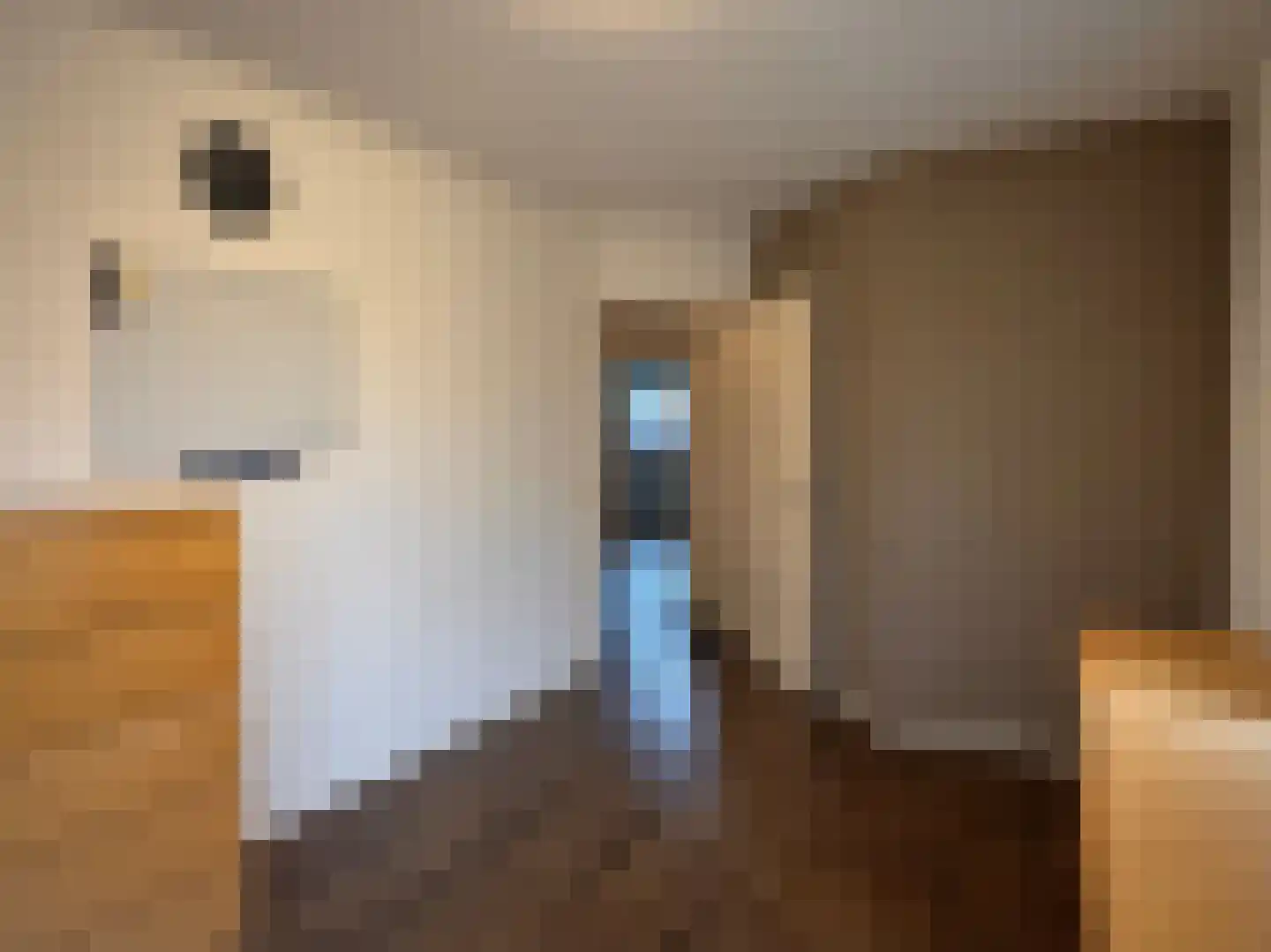 Hoevenkamp 7 Gieten thumbnail 19