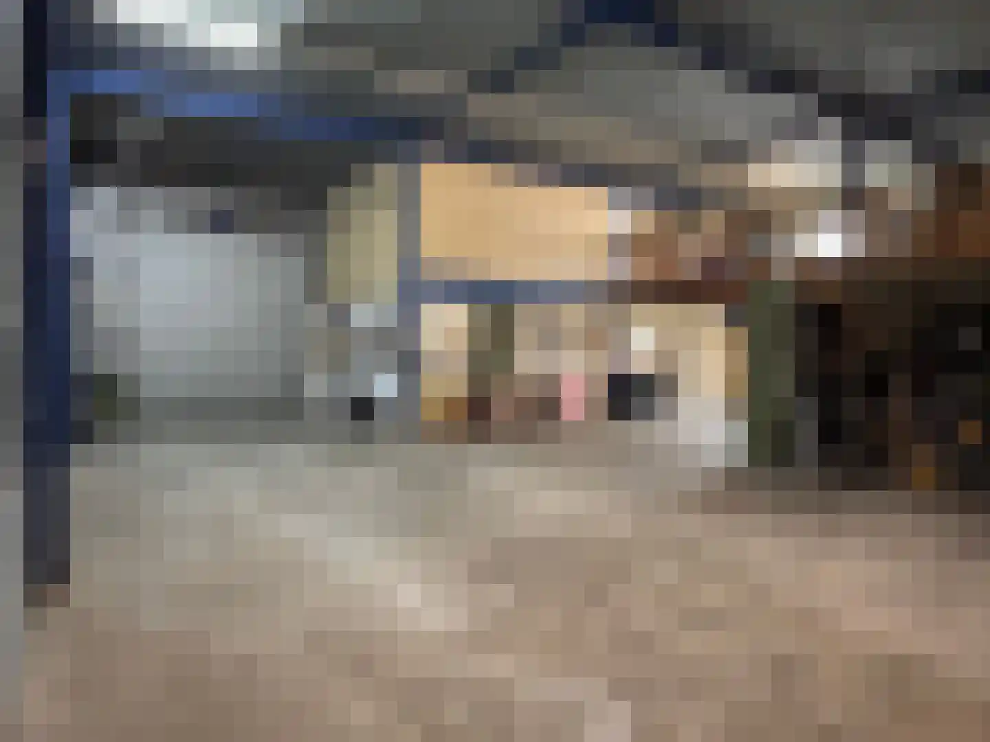 Hoevenkamp 7 Gieten thumbnail 49