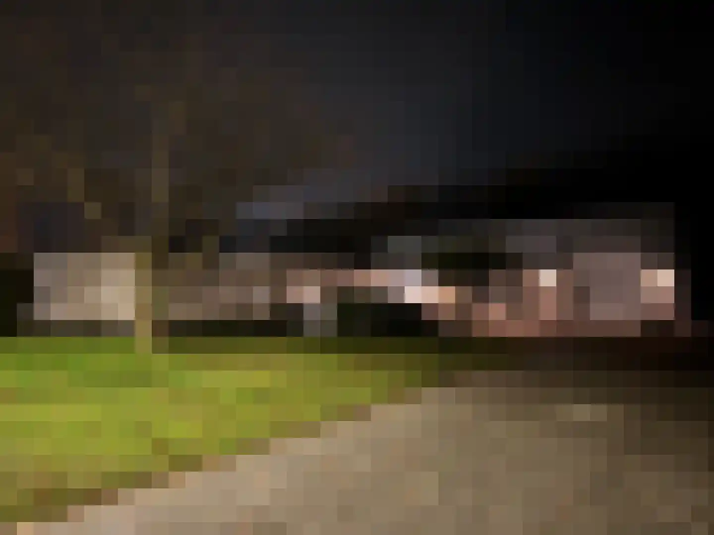 Hoevenkamp 7 Gieten thumbnail 65