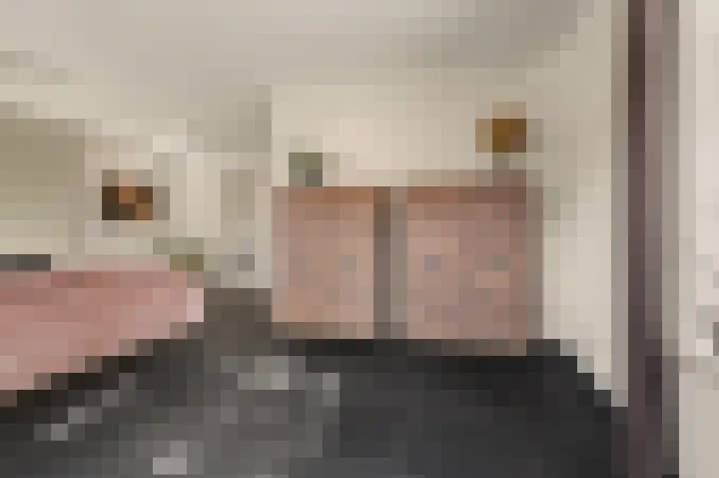 Hoevense Akker 7 Reusel thumbnail 13