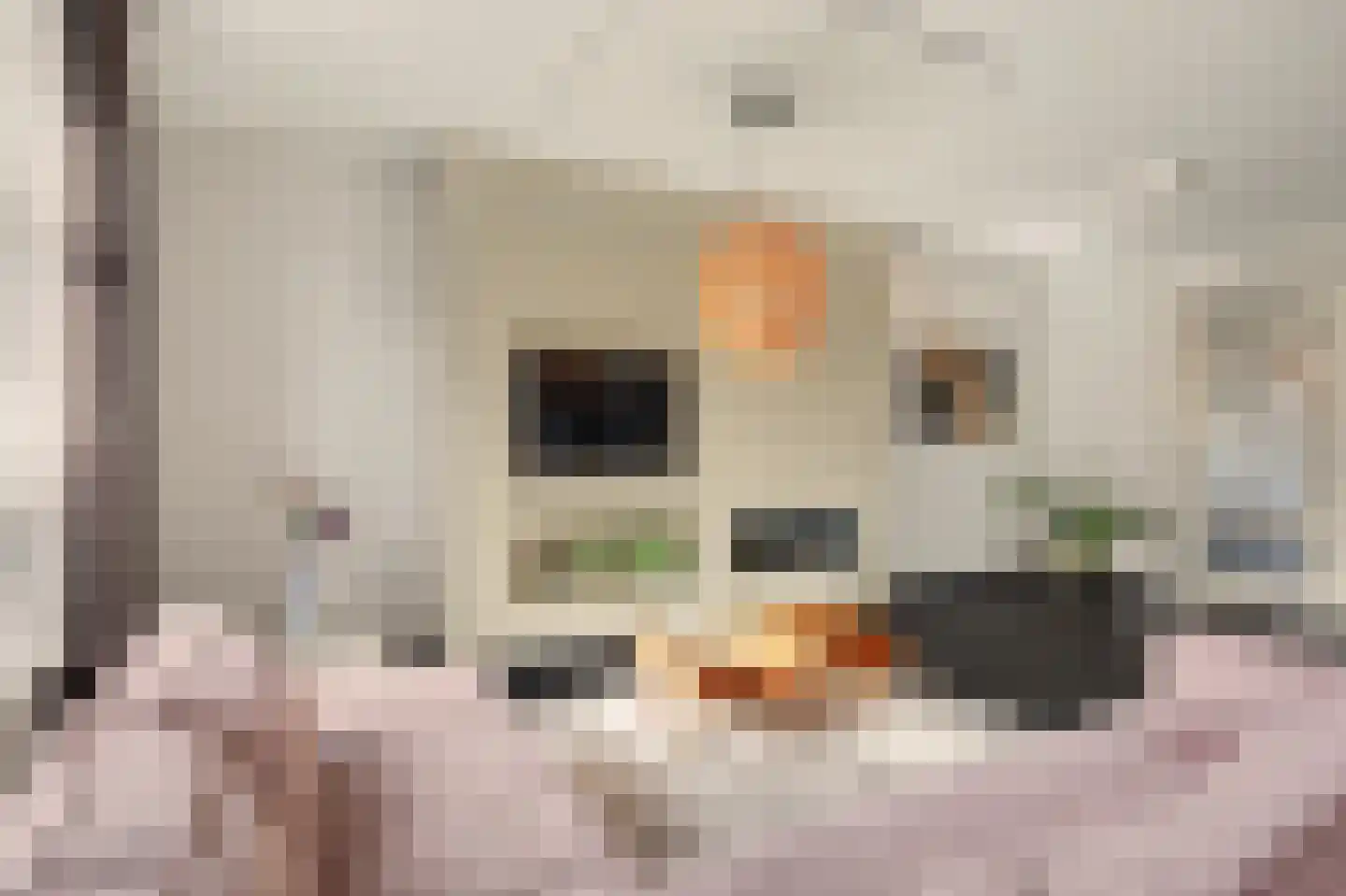Hoevense Akker 7 Reusel thumbnail 14