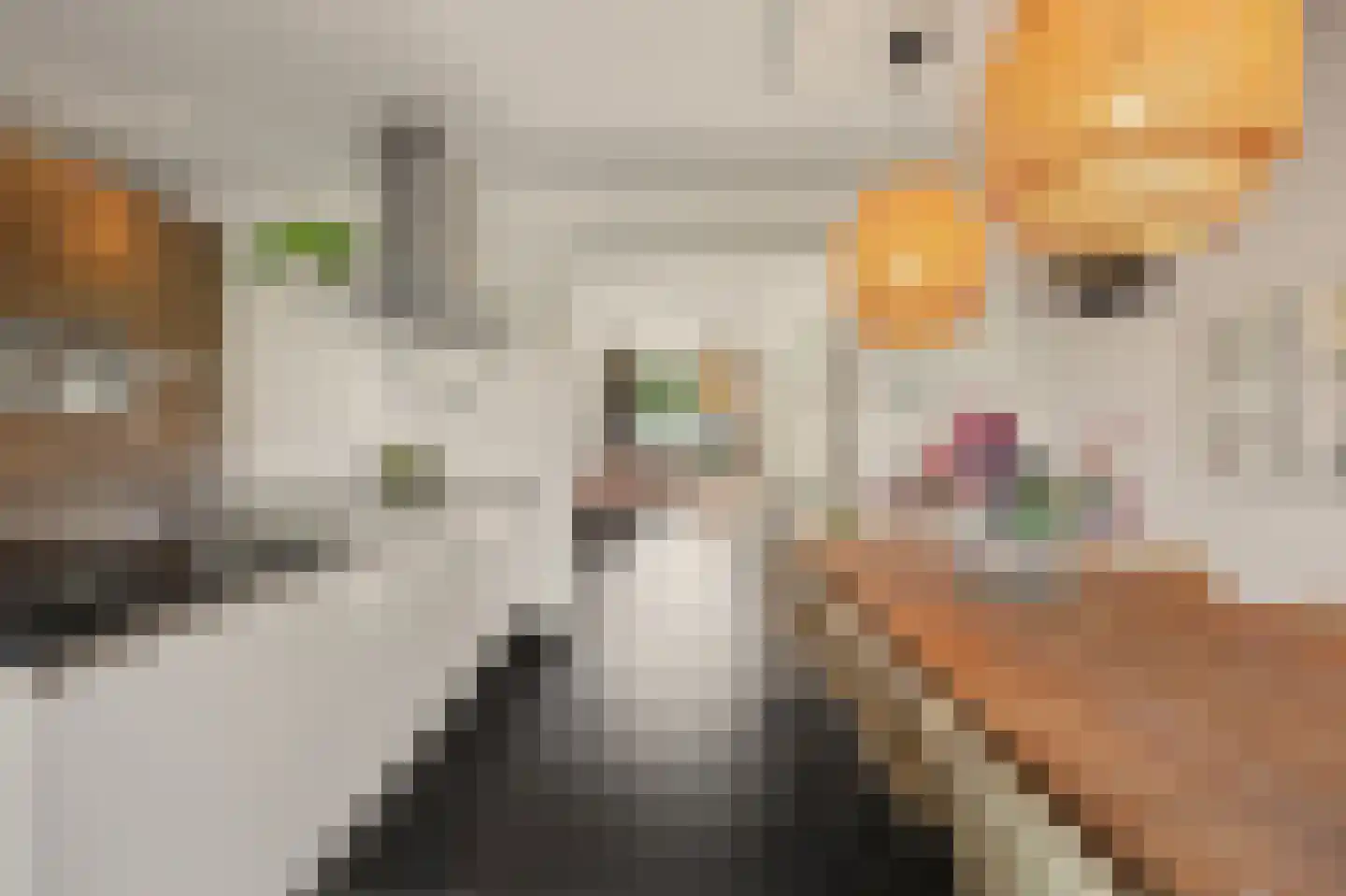 Hoevense Akker 7 Reusel thumbnail 20
