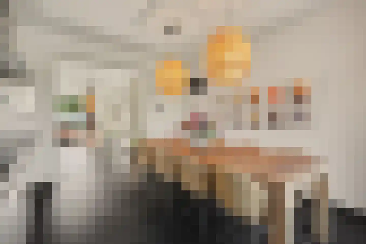 Hoevense Akker 7 Reusel thumbnail 21