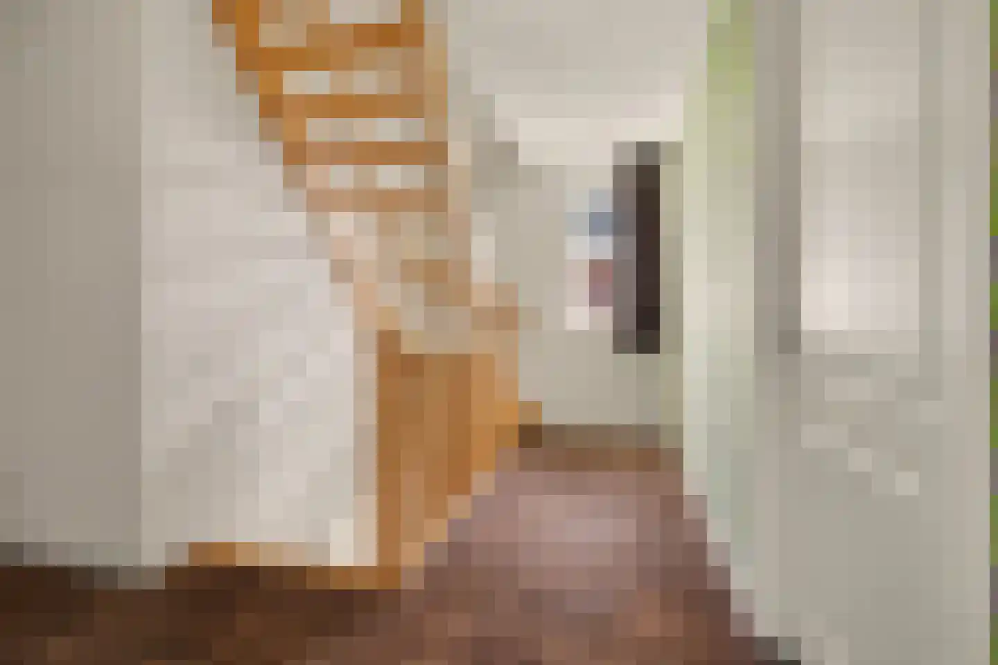 Hoevense Akker 7 Reusel thumbnail 29
