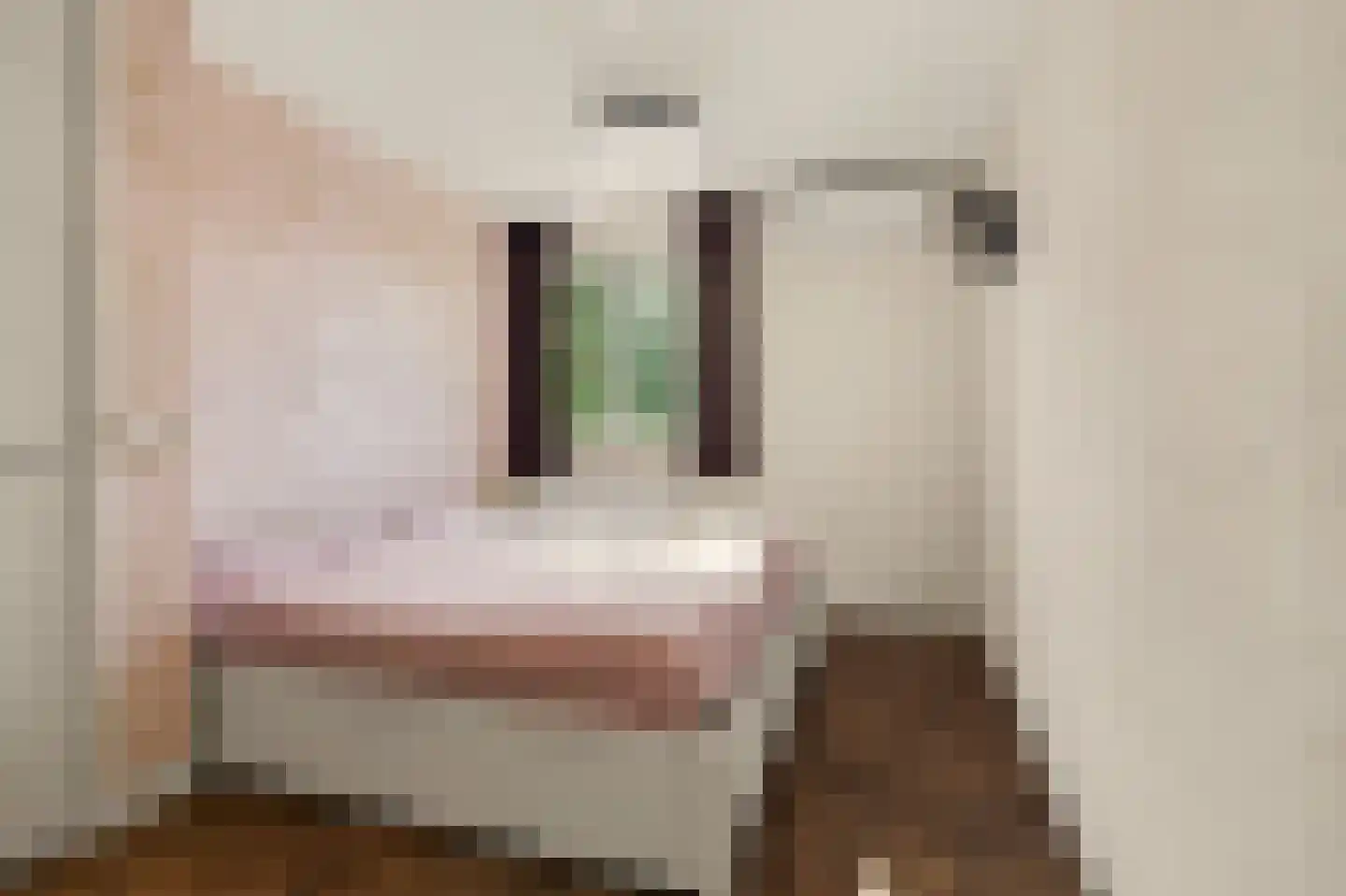 Hoevense Akker 7 Reusel thumbnail 34