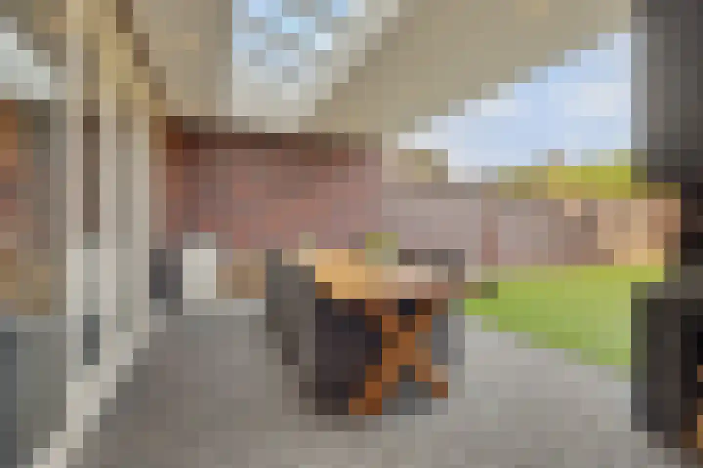 Hoevense Akker 7 Reusel thumbnail 44