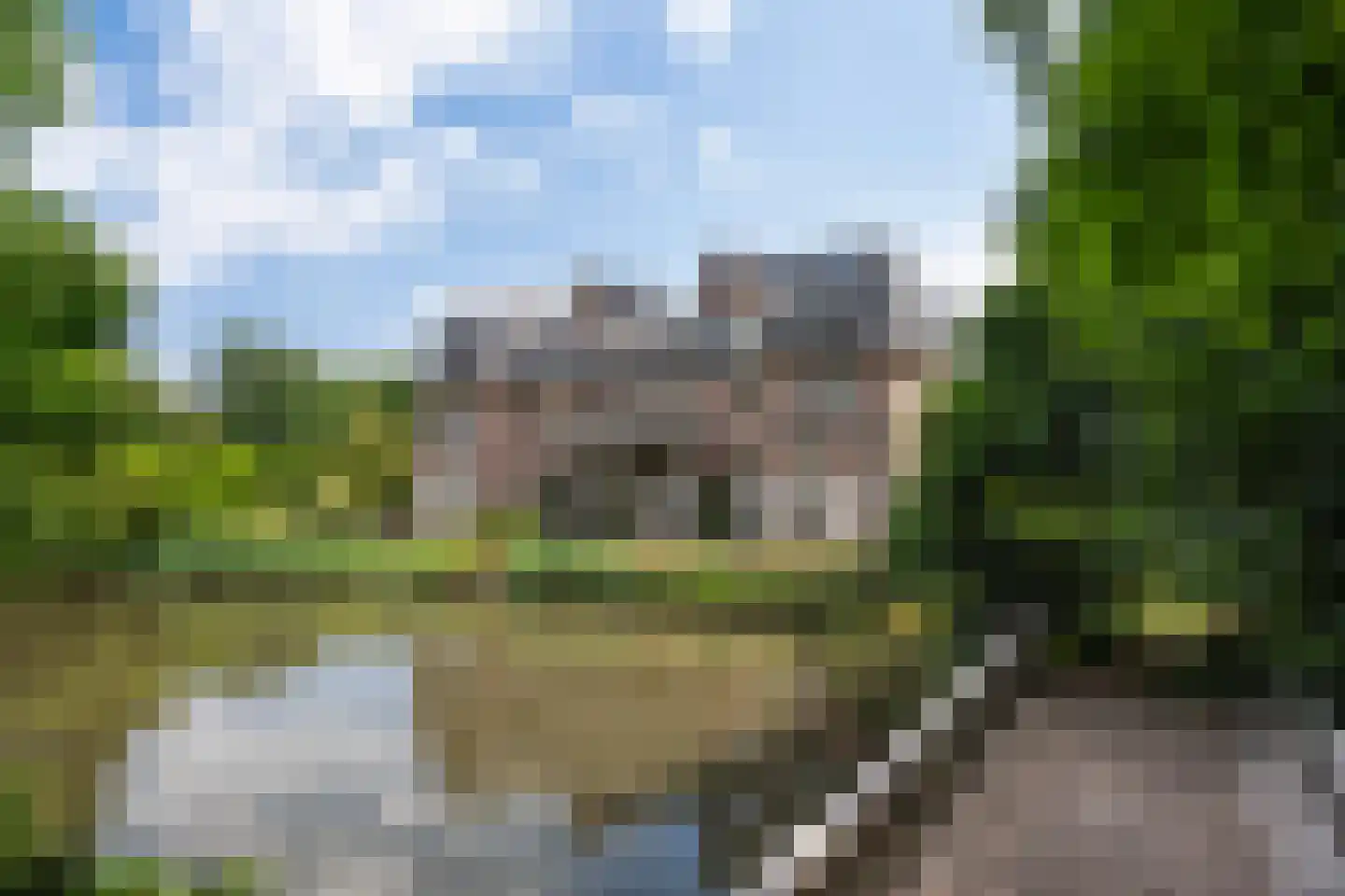 Hoevensebaan 218 Milheeze thumbnail 44