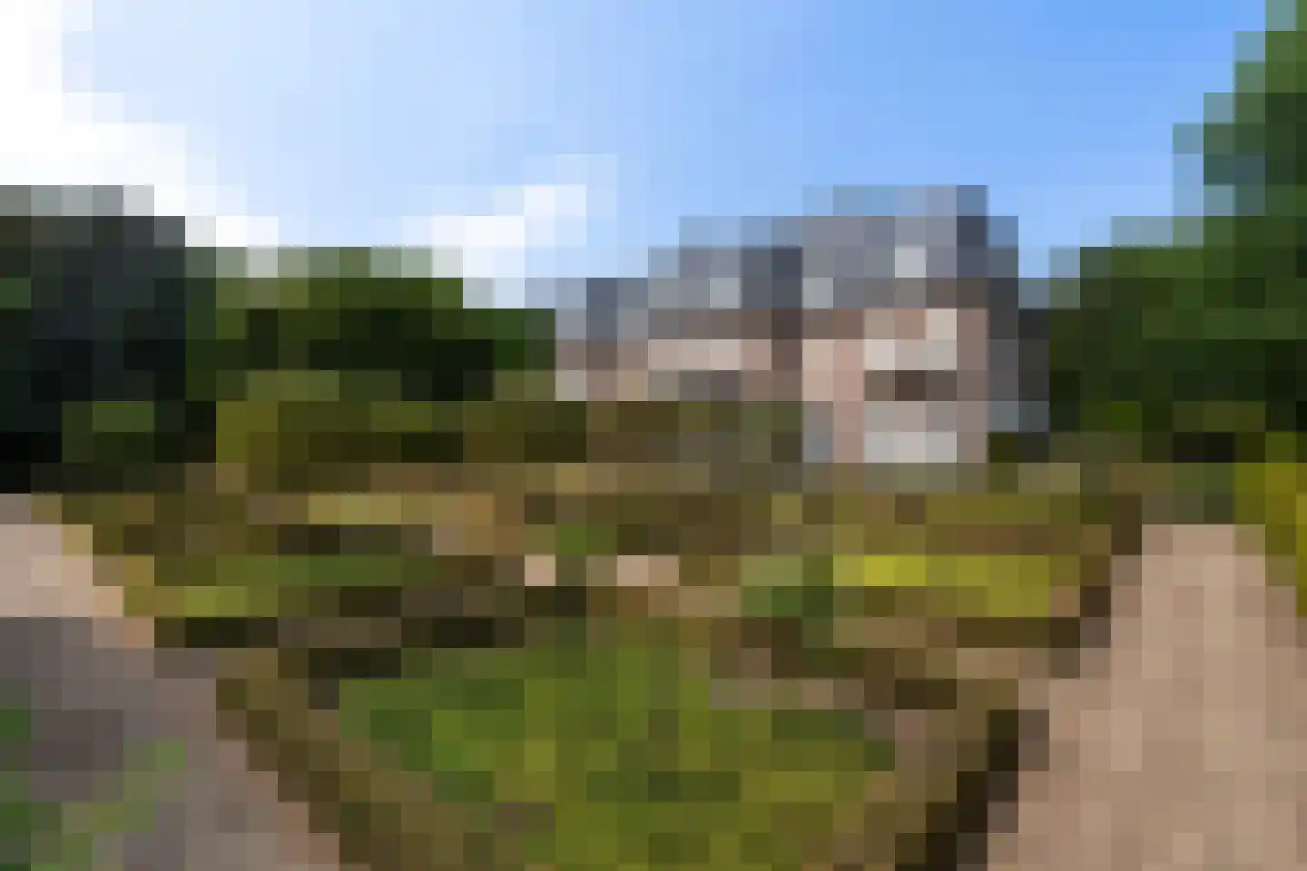 Hoevensebaan 218 Milheeze thumbnail 51