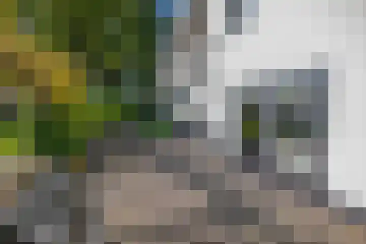 Hoevensestraat 10 Nuenen thumbnail 42