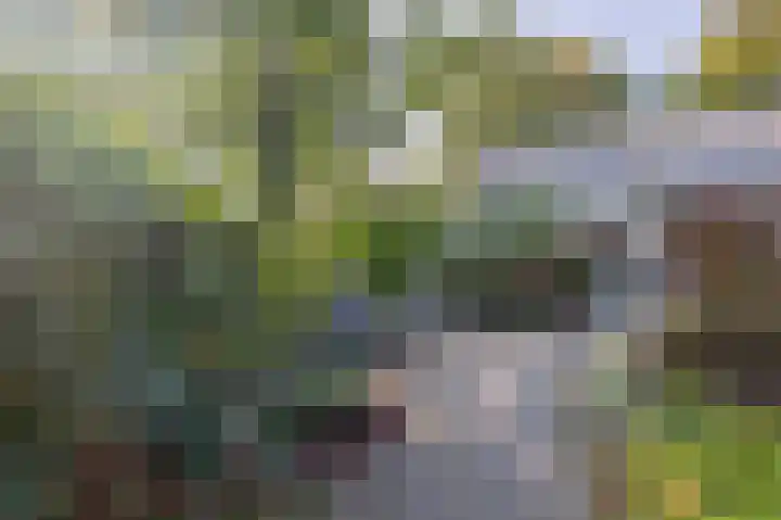 Hoevensestraat 10 Nuenen thumbnail 47