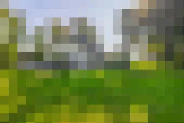 Hoevensestraat 10 Nuenen thumbnail 49