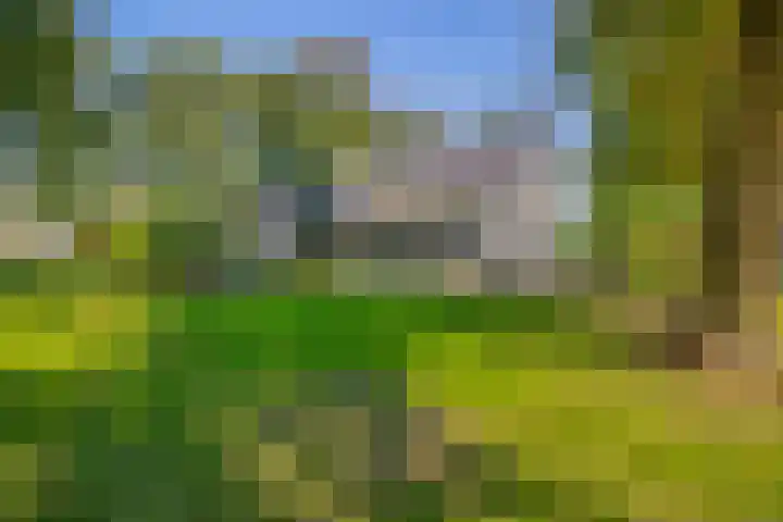Hoevensestraat 10 Nuenen thumbnail 51