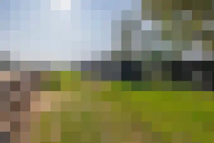Hoevensestraat 10 Nuenen thumbnail 55