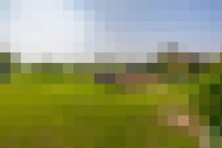 Hoevensestraat 10 Nuenen thumbnail 66