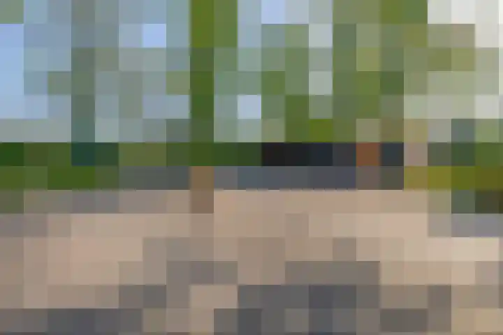 Hoevensestraat 10 Nuenen thumbnail 8