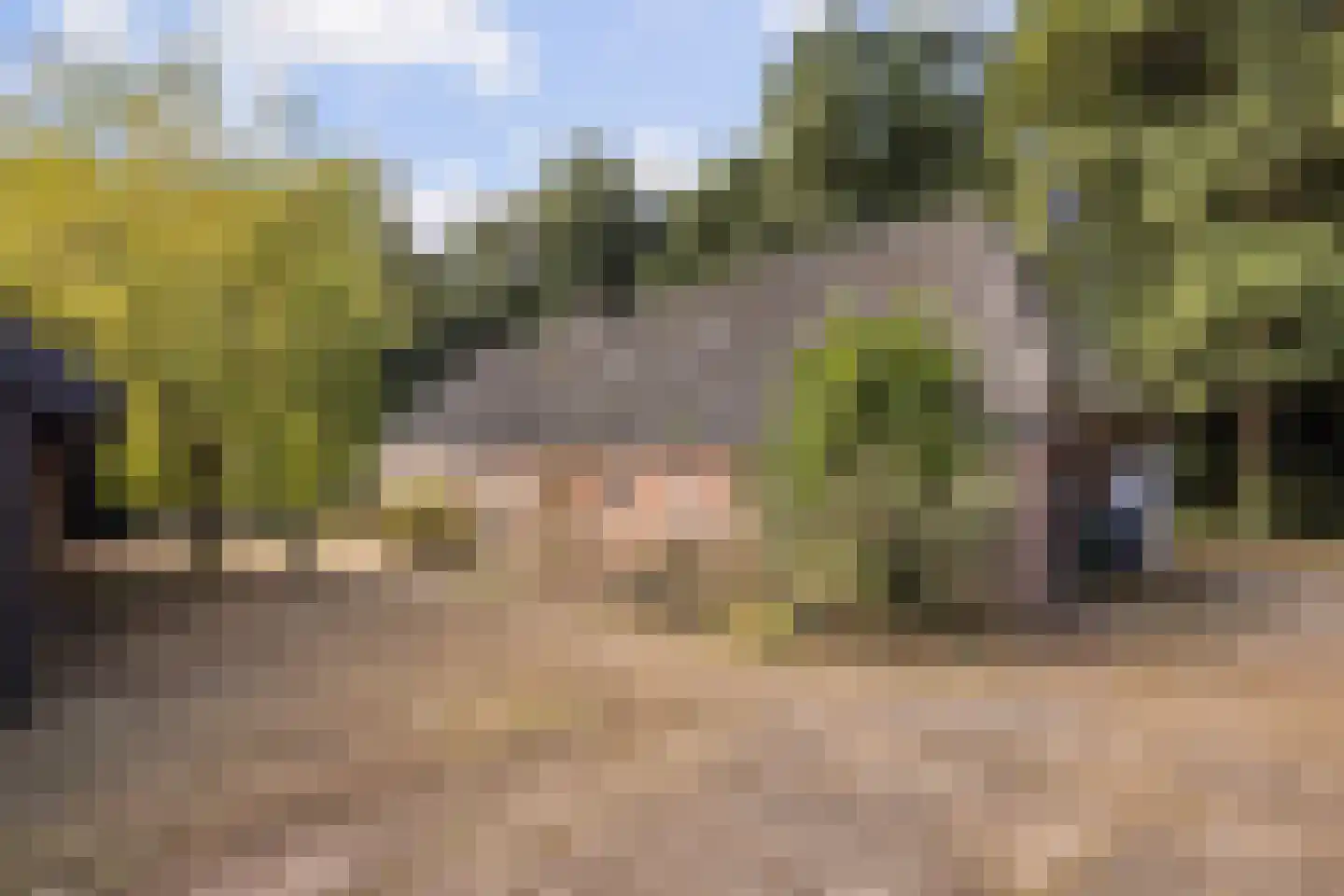 Hoevensestraat 12 Vught thumbnail 15