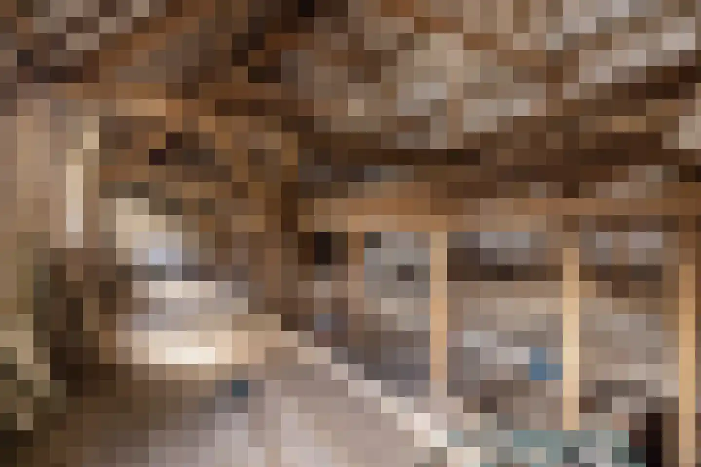 Hoevensestraat 12 Vught thumbnail 16
