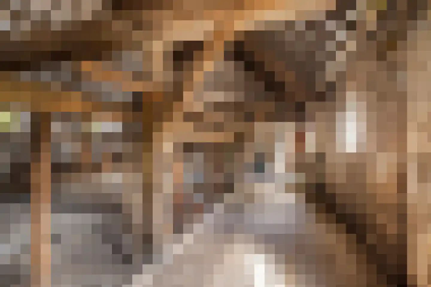 Hoevensestraat 12 Vught thumbnail 22