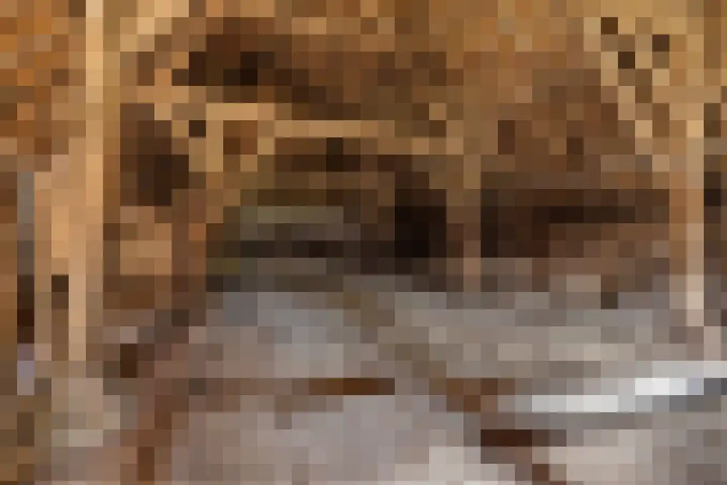 Hoevensestraat 12 Vught thumbnail 23