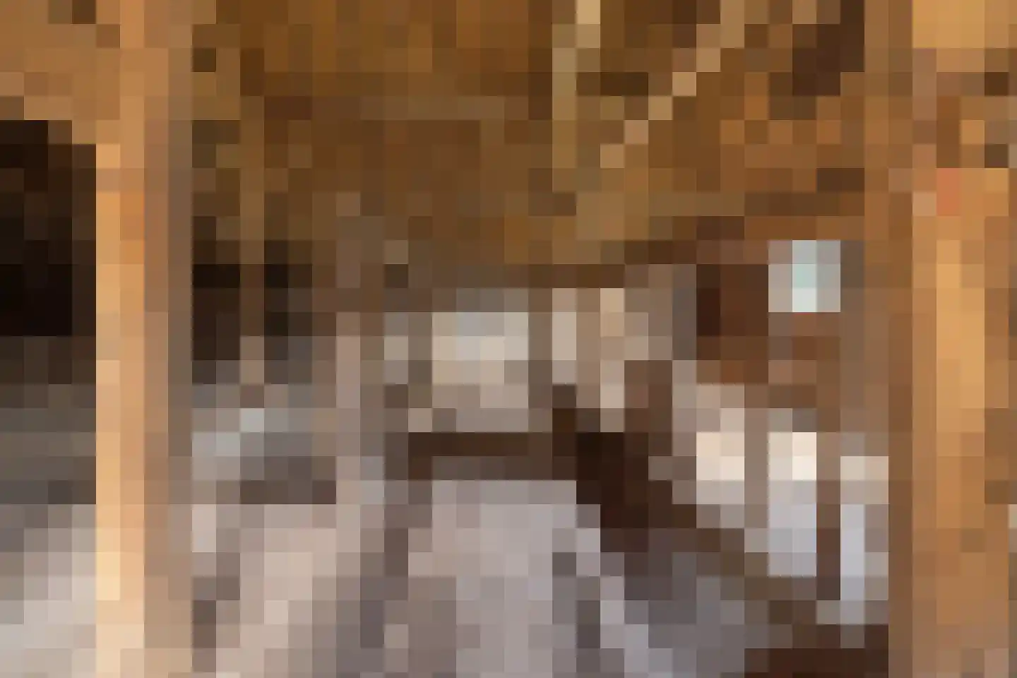 Hoevensestraat 12 Vught thumbnail 24
