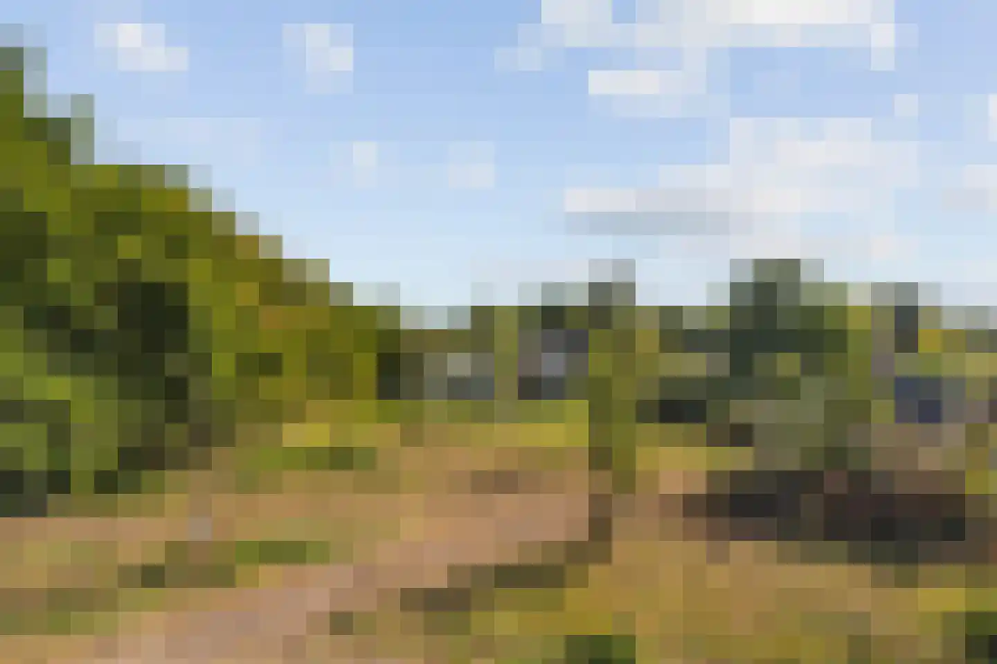 Hoevensestraat 12 Vught thumbnail 34