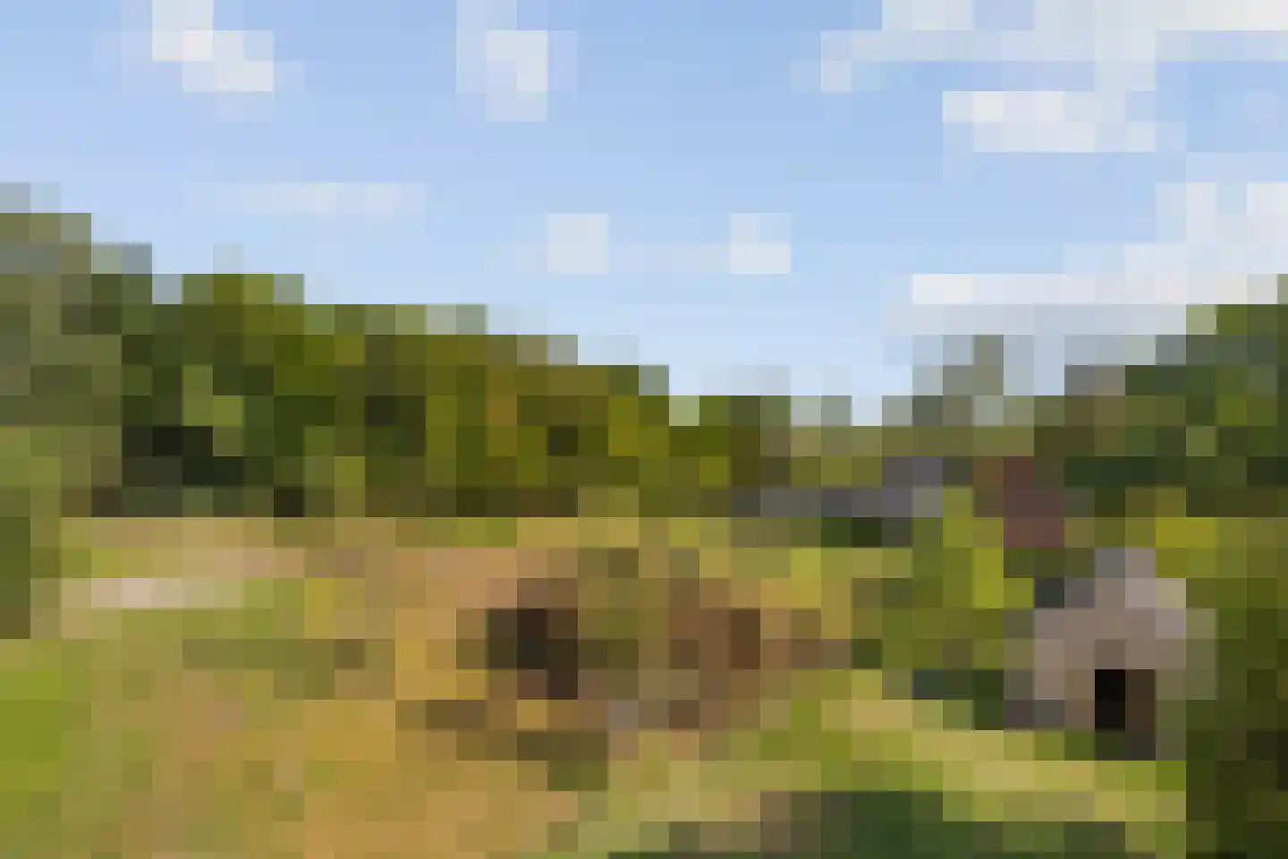 Hoevensestraat 12 Vught thumbnail 35