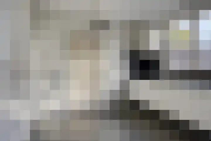 Hoevensestraat 26 Wanroij thumbnail 12