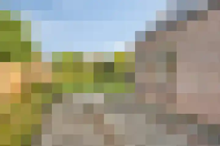 Hoevensestraat 26 Wanroij thumbnail 35